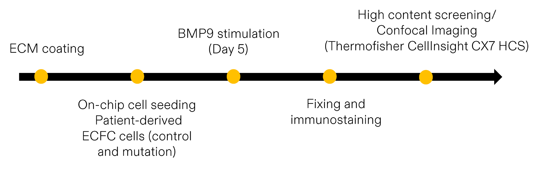 两株对照组和两株携带ALK1突变的患者来源内皮集落形成细胞对BMP9的p-Smad1/5信号响应情况