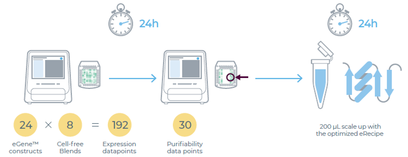eProtein Discovery系统流程图