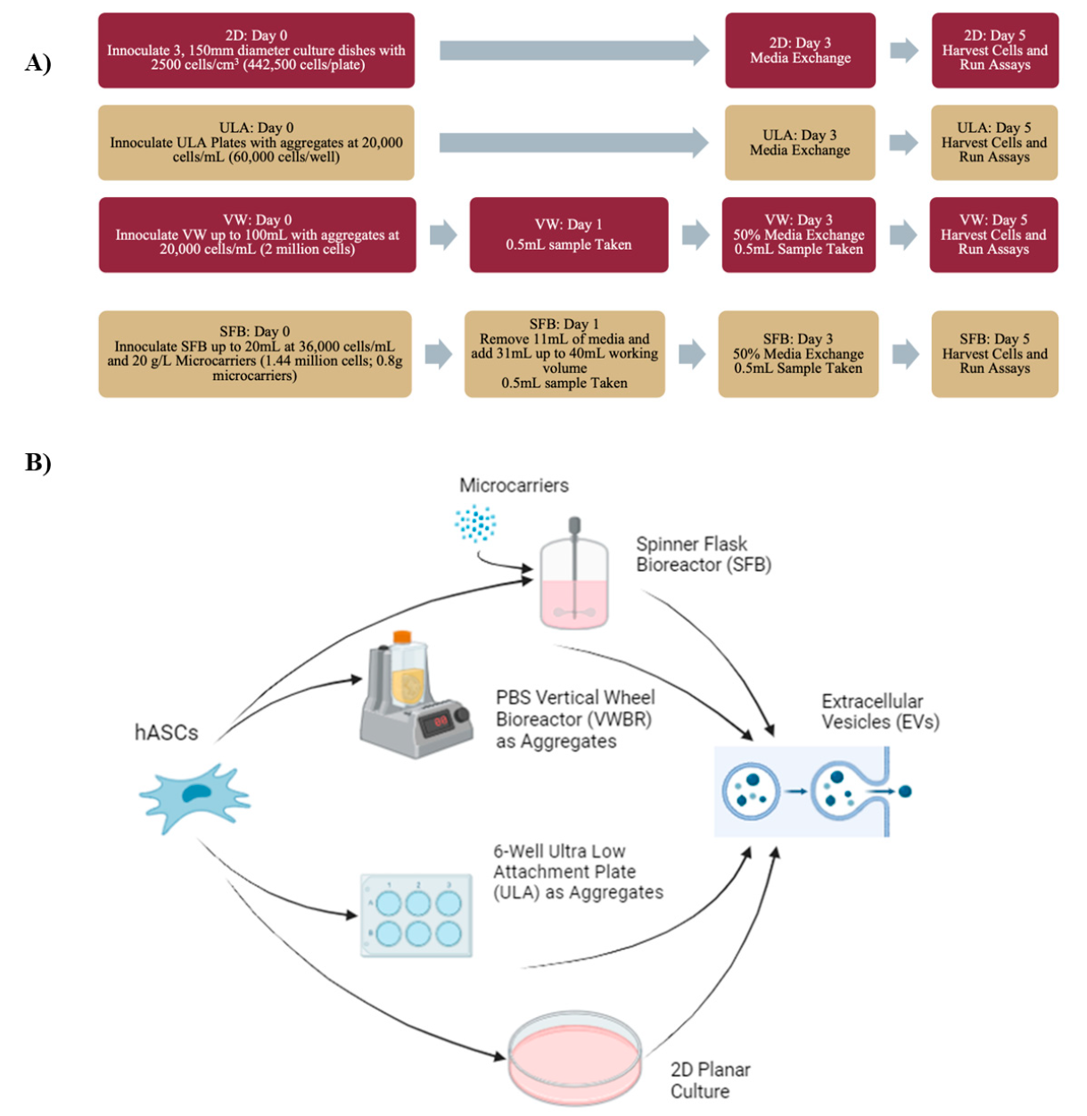 hMSC的接种过程及收集的EVs hMSC的接种过程及收集的EVs