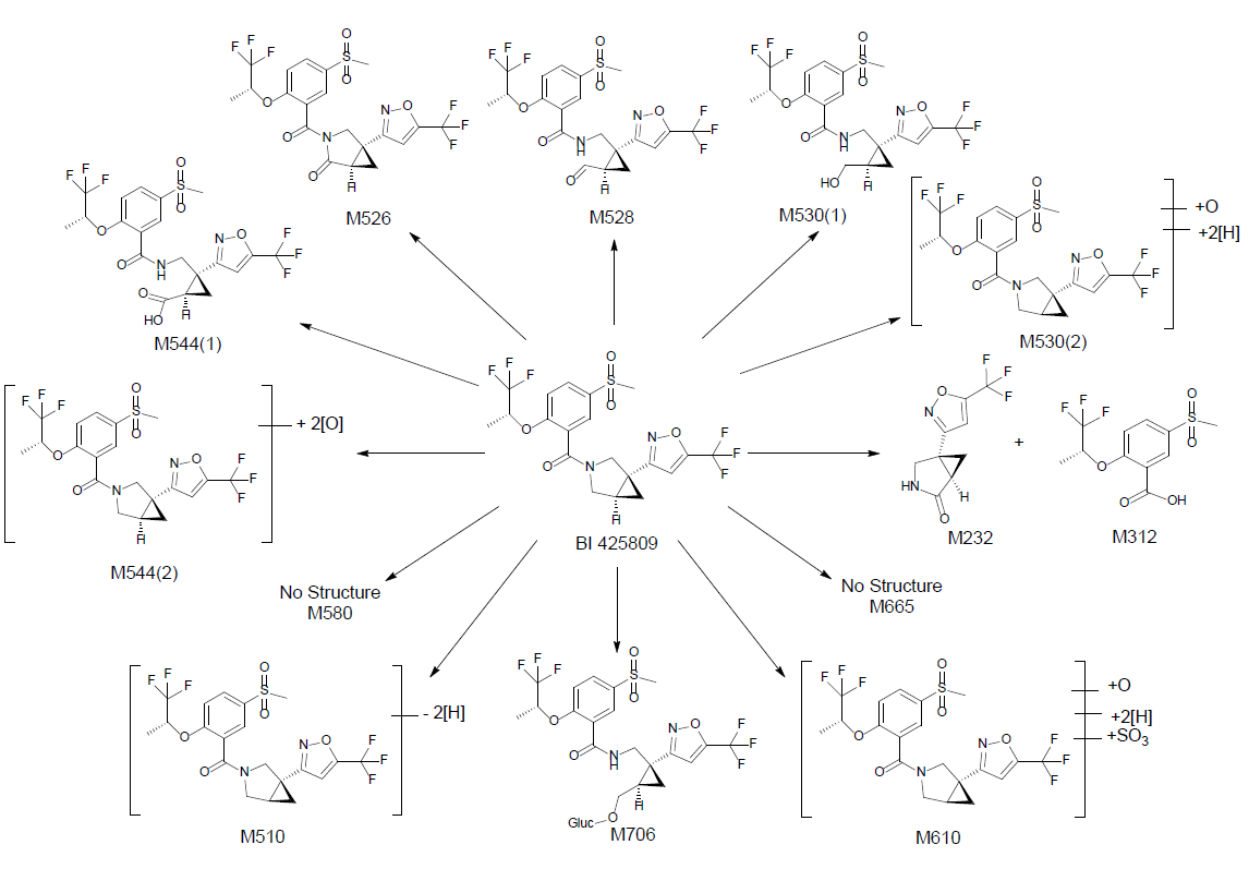 BI 425809预测代谢途径
