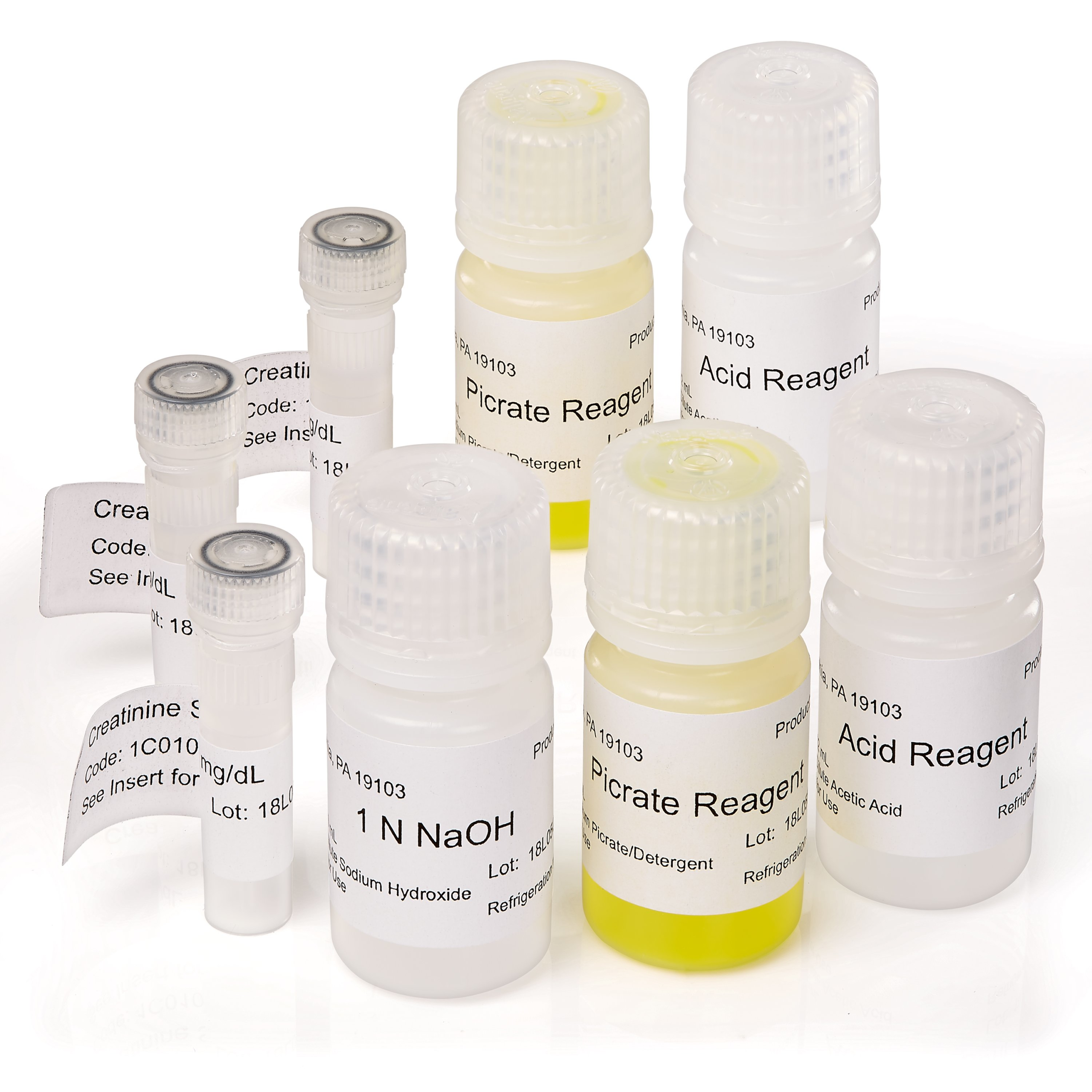 The Creatinine Companion