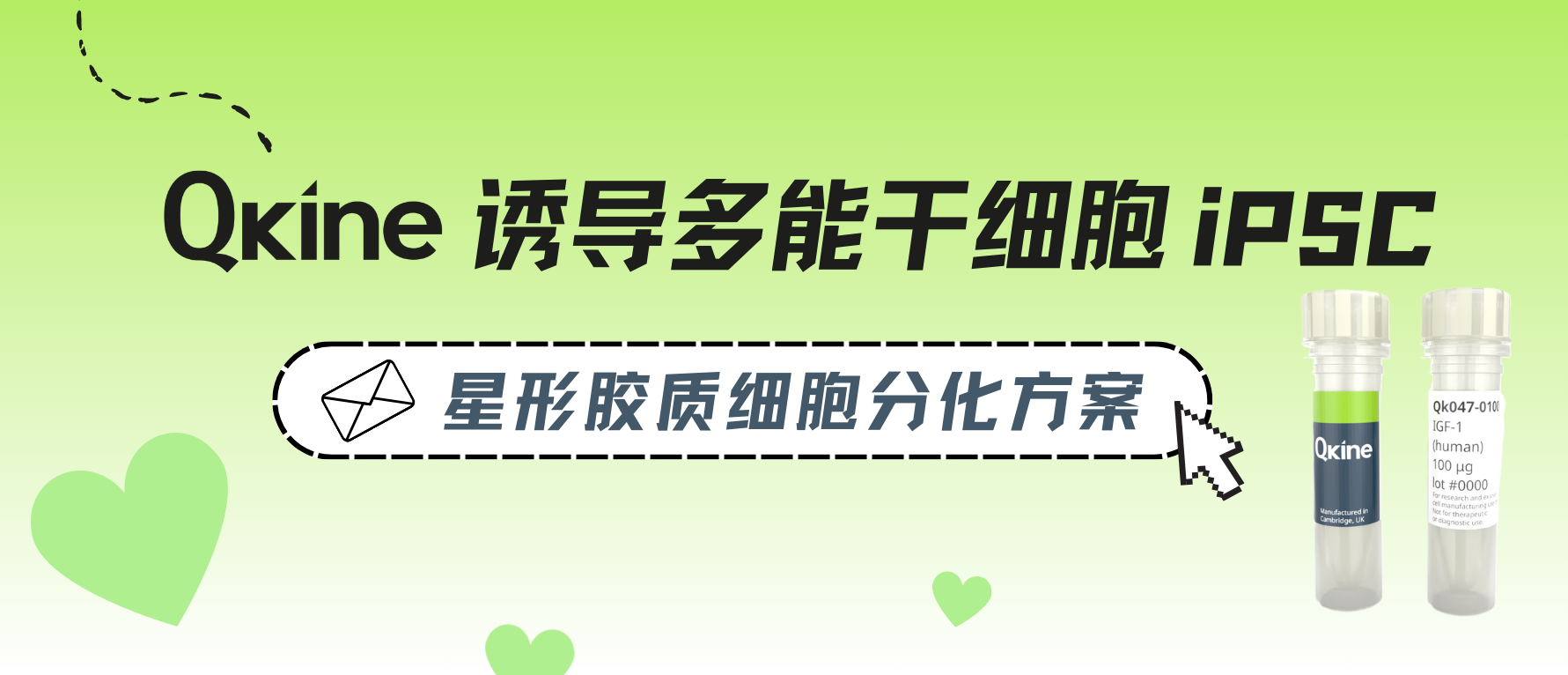 Qkine细胞因子|iPSC-星形胶质细胞分化方案