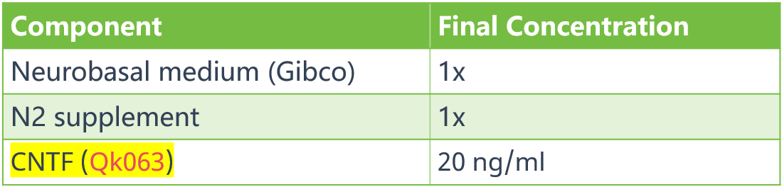 基于Neurobasal的培养基成分4 基于Neurobasal的培养基成分4