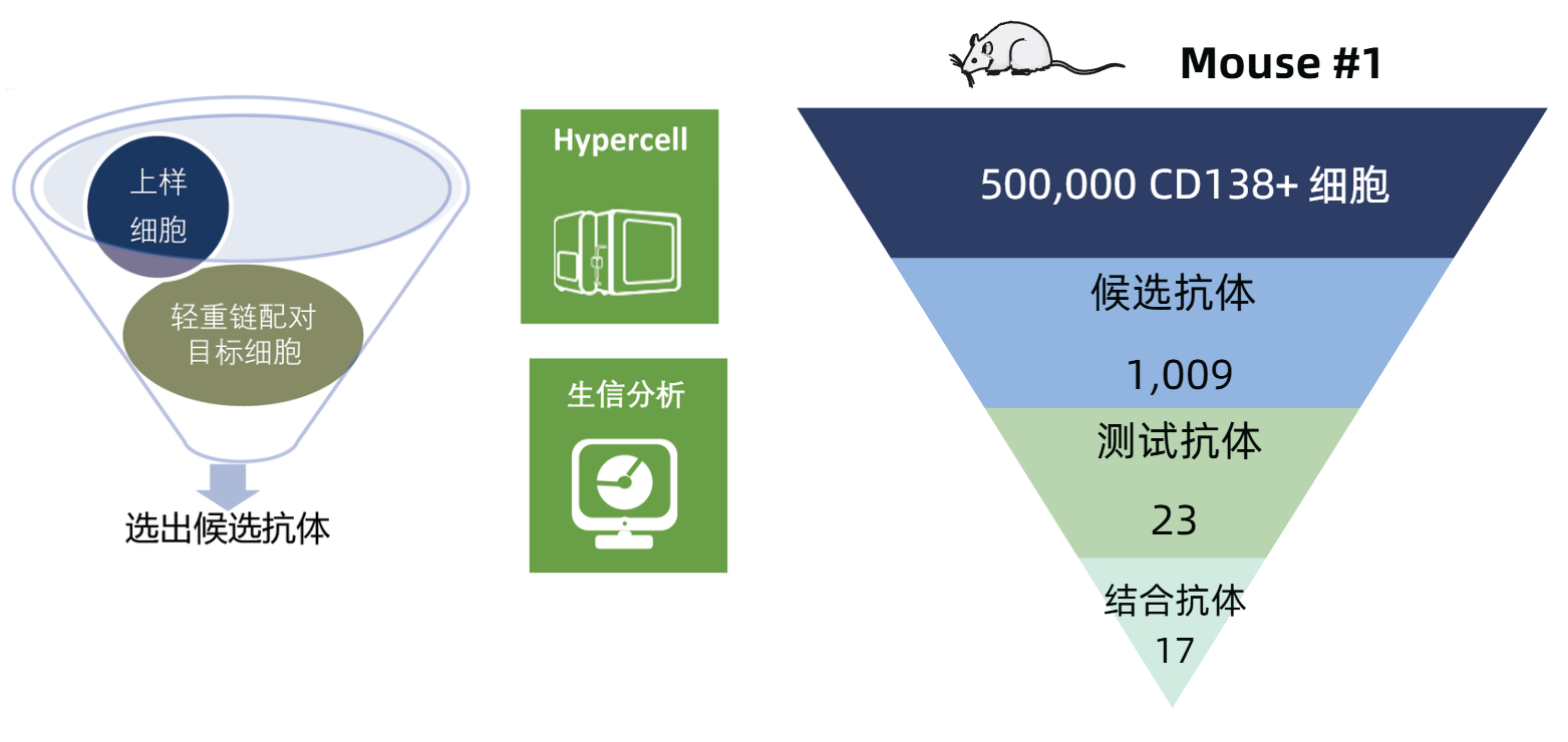 Hypercell和AbFinder工作流程的关键数据