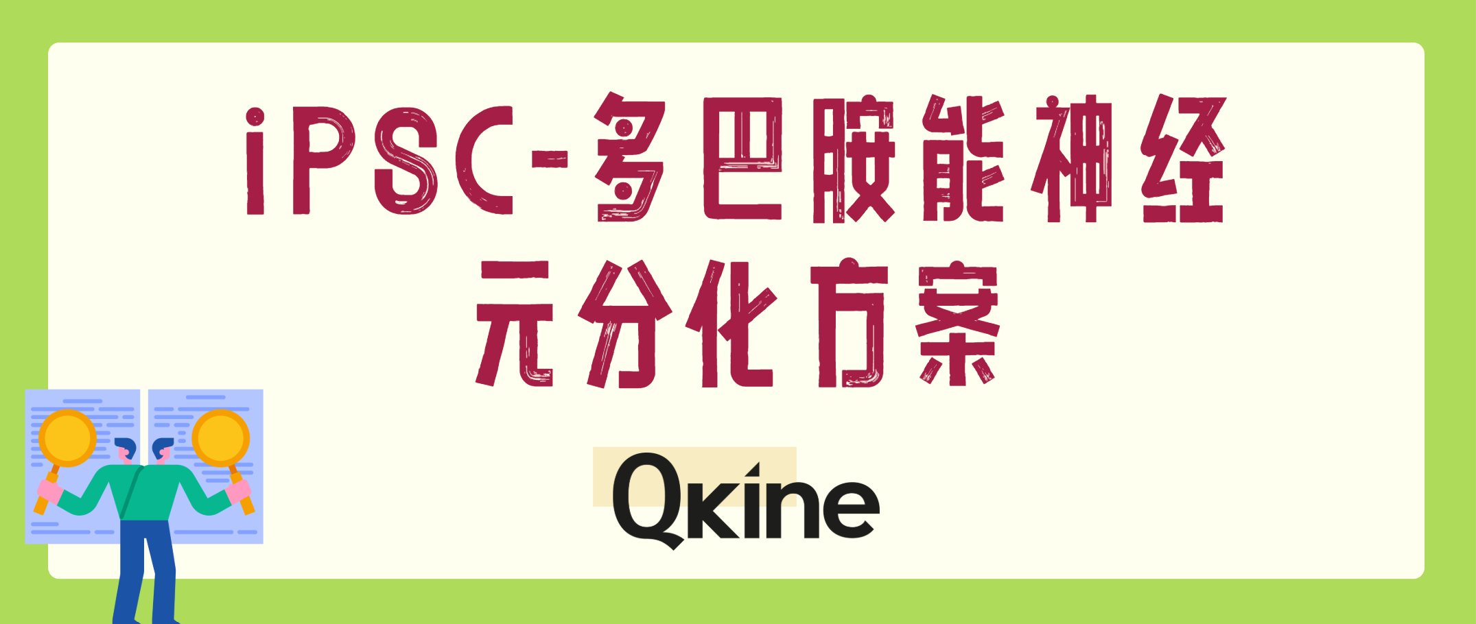 Qkine细胞因子：诱导多能干细胞iPSC向多巴胺能神经元的分化