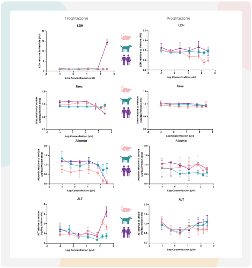 大鼠MPS通过白蛋白减少和ALT升高预测曲格列酮的肝毒性