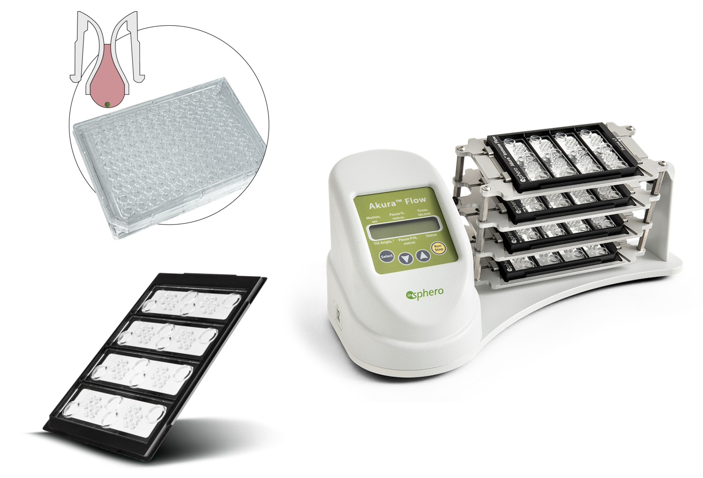 InSphero多器官免疫共培养芯片/3D培养工具 InSphero多器官免疫共培养芯片/3D培养工具