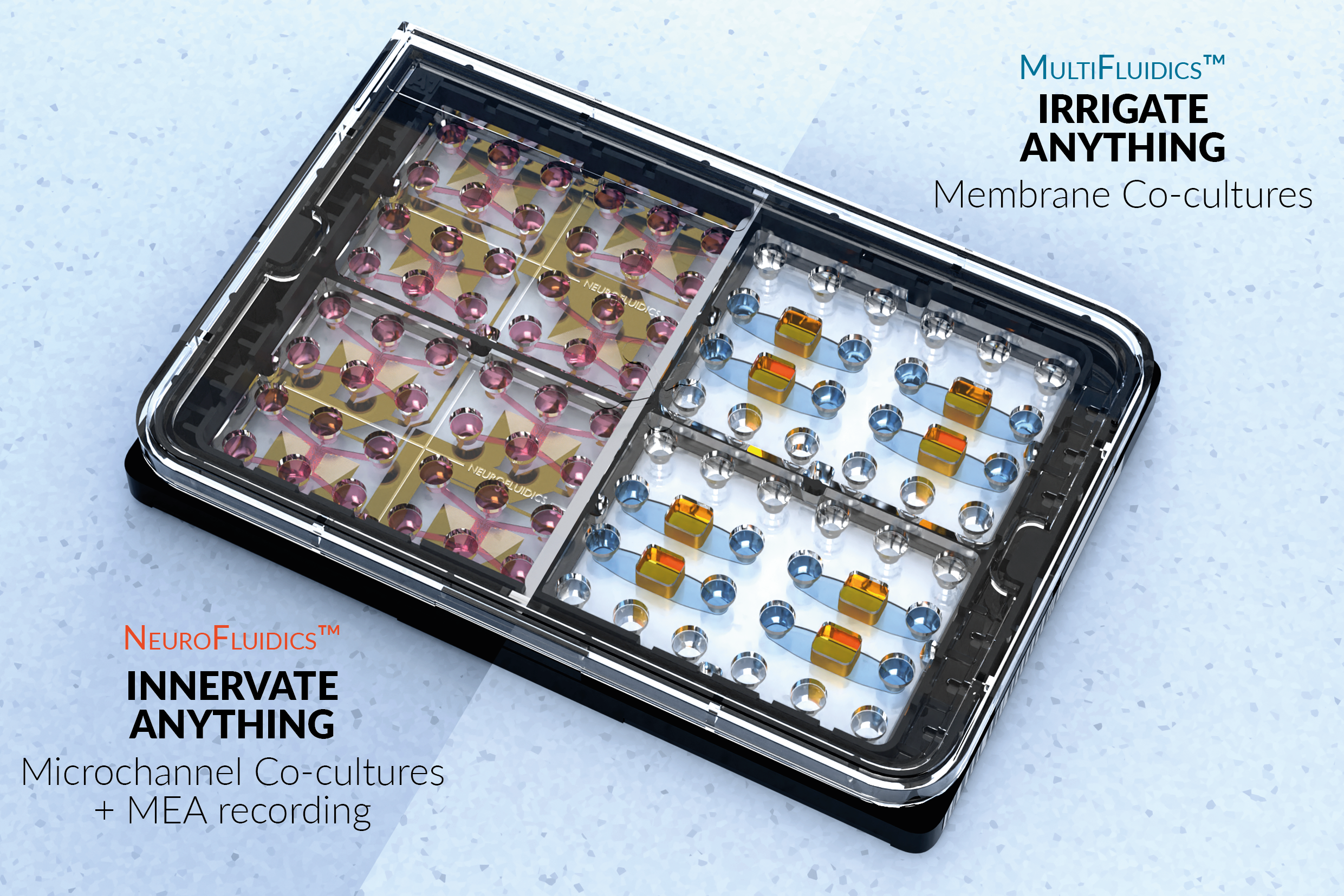 曼博生物代理NETRI神经芯片 曼博生物代理NETRI神经芯片