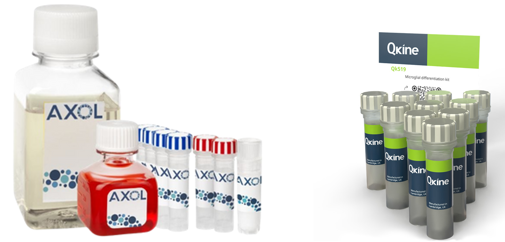 可用Qkine分化因子培养AXOL品牌iPSC来源细胞 可用Qkine分化因子培养AXOL品牌iPSC来源细胞
