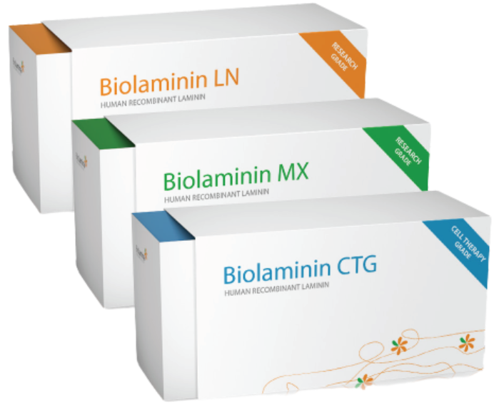 类器官及器官芯片专用培养涂层包被基质BioLamina 类器官及器官芯片专用培养涂层包被基质BioLamina