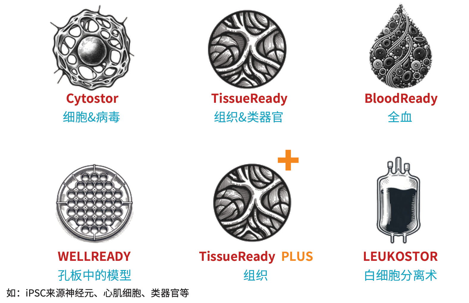 Atelerix常温保存凝胶用于新鲜样本模型运输 Atelerix常温保存凝胶用于新鲜样本模型运输