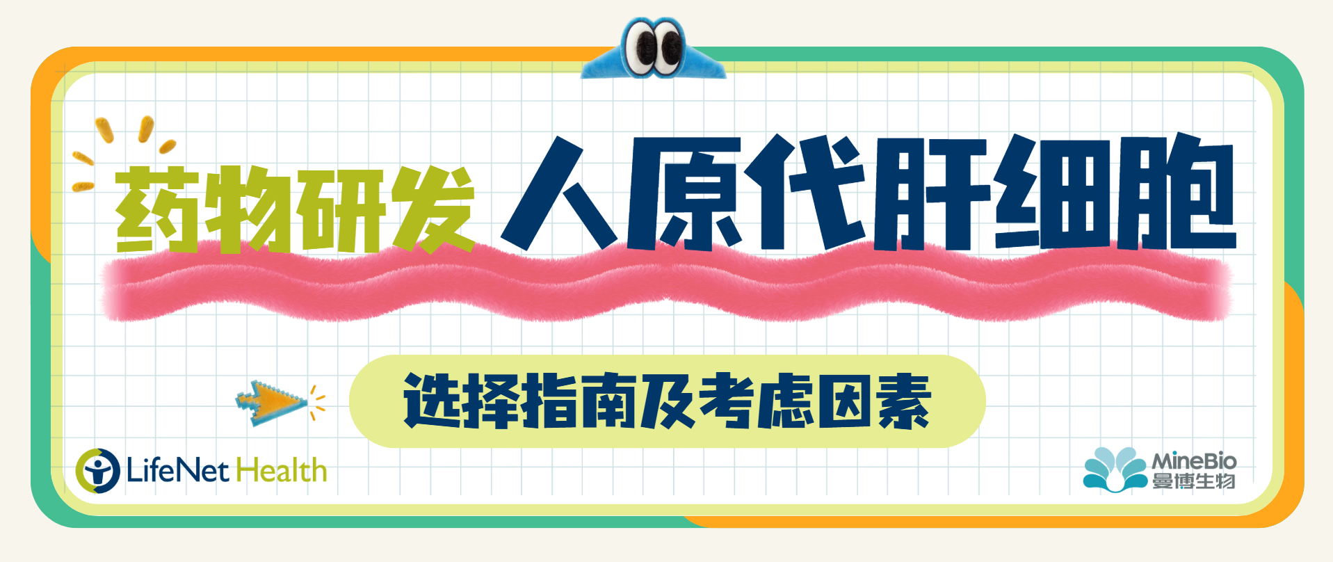 干货 | 药物研发中人原代肝细胞的选择指南与核心考虑因素