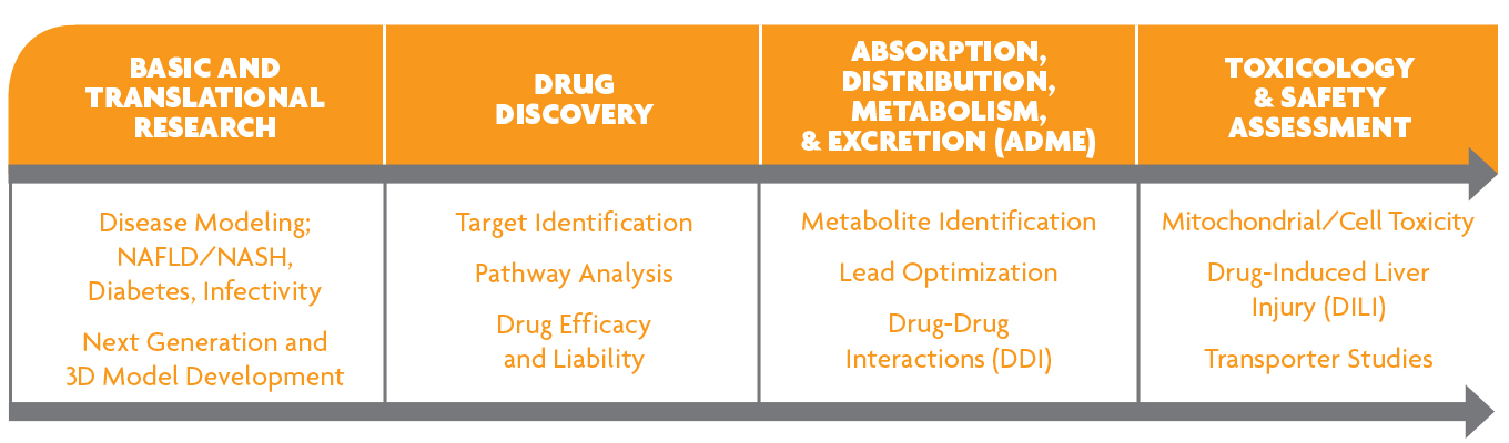 人原代肝细胞在药物研发中的应用 人原代肝细胞在药物研发中的应用