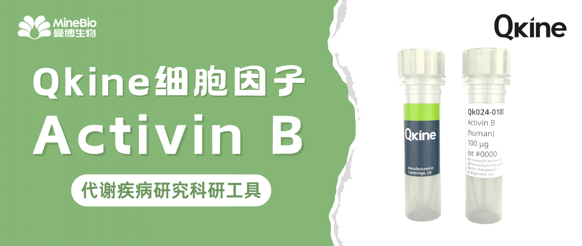 Qkine细胞因子-Activin B(Qk024)激活素B｜代谢疾病研究