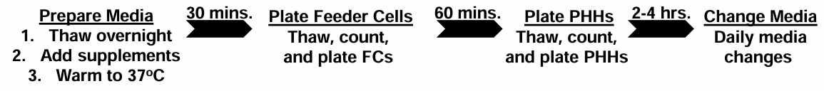 全人源三培养体系搭建步骤