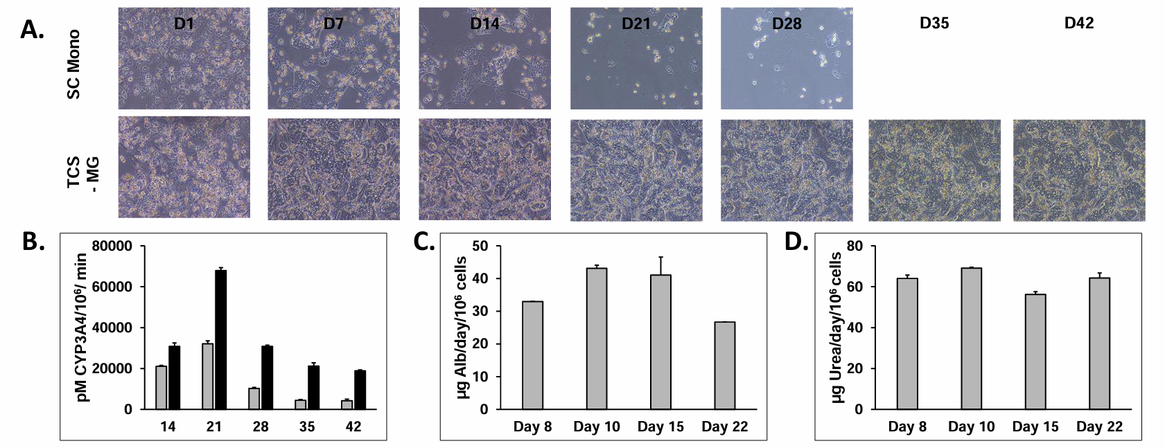 三培养体系TCS的长期稳定性