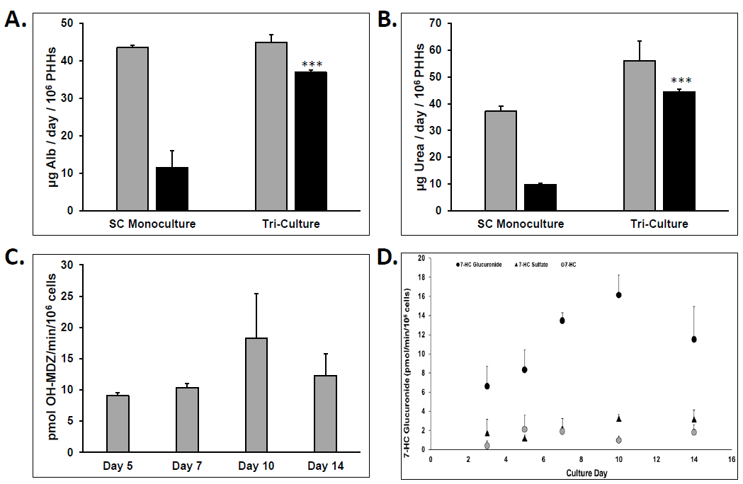 三培养体系TCS中原代人肝细胞PHHs的功能验证