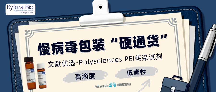 慢病毒包装的&ldquo;硬通货&rdquo;：Polysciences PEI转染试剂，为何成为数千篇文献的优选？