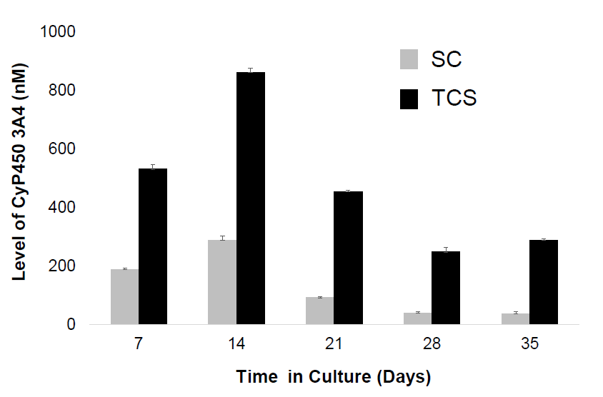 3个批次PHH在SC、TCS中培养35天内利福平诱导的CYP3A4酶活性变化