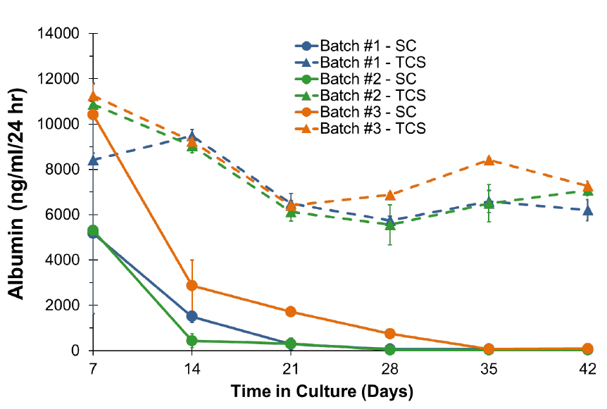 SC和TCS培养体系下3个不同PHH批次在培养42天内白蛋白分泌情况