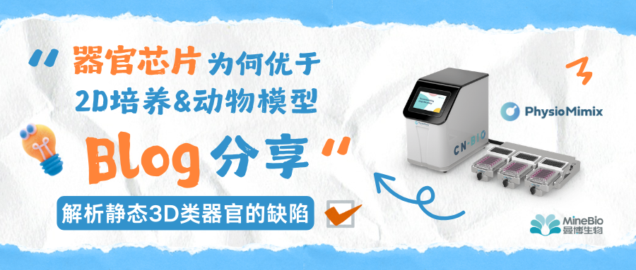 CN Bio|器官芯片为何优于传统2D细胞培养和动物模型?