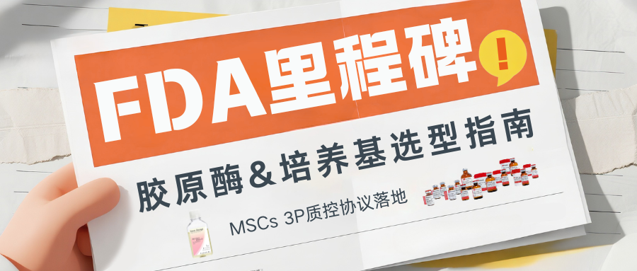 FDA里程碑|MSCs 3P质控协议落地,合规胶原酶与培养基选型指南