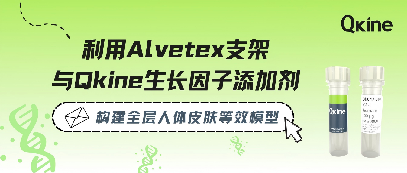 Qkine细胞因子｜全层人皮肤等效模型