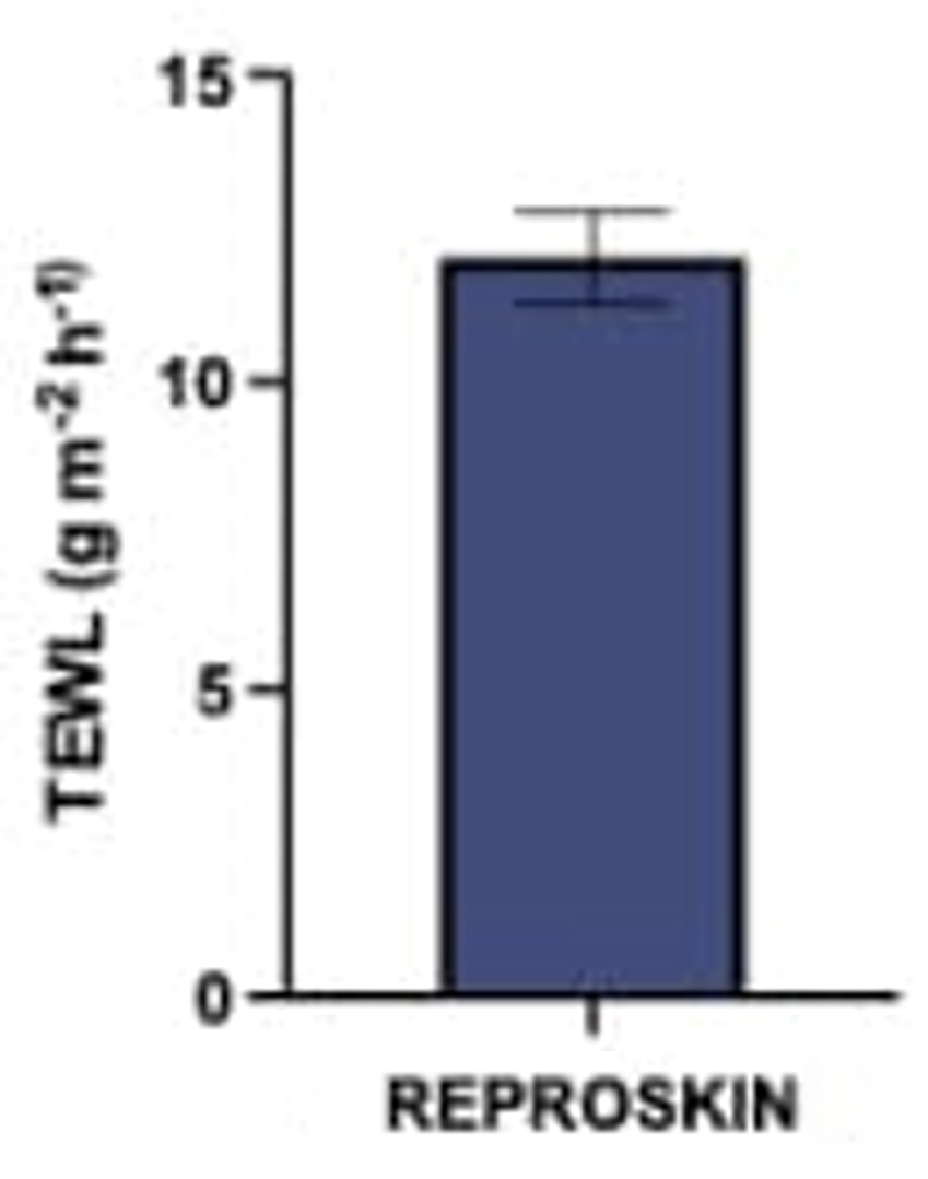 全层皮肤等效模型的经表皮水分流失(TEWL)测量值