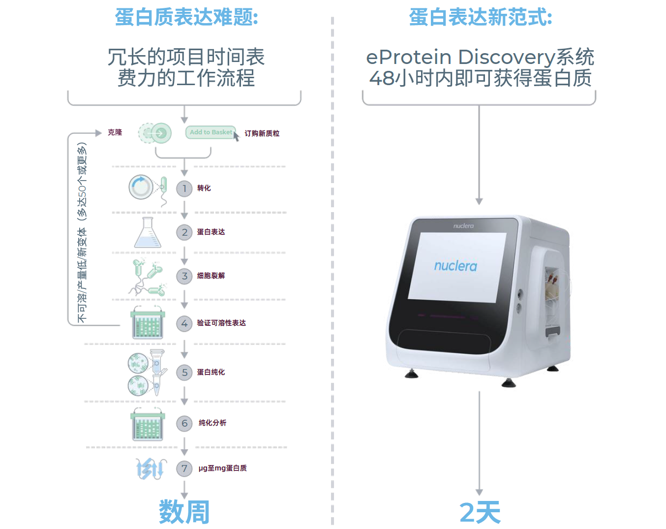 eProtein Discovery系统与传统蛋白制备流程周期对比