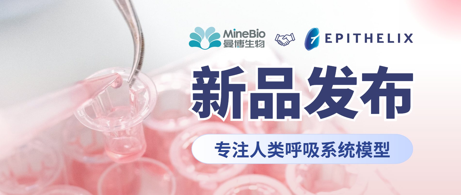 Epithelix｜人呼吸系统体外模型供应商