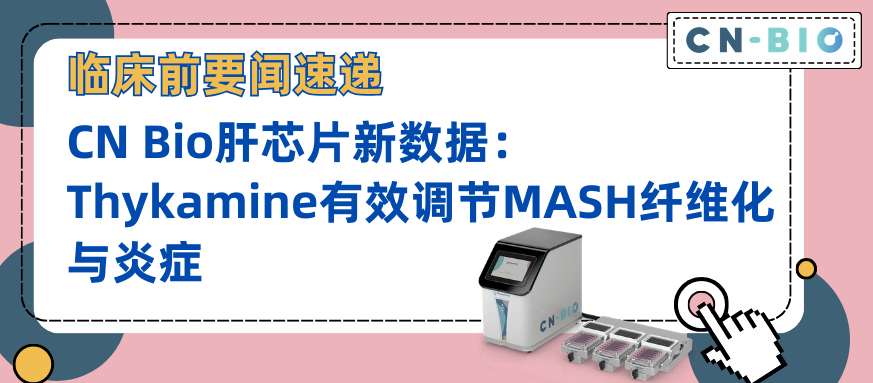 CN Bio肝芯片新数据｜Thykamine有效调节MASH纤维化与炎症