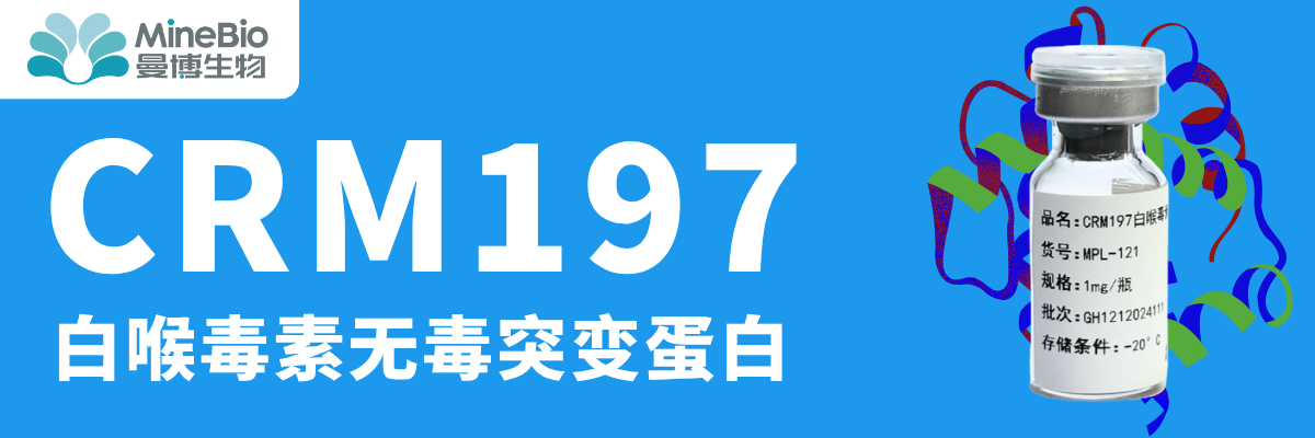 CRM197白喉毒素突变体-曼博生物官方提供