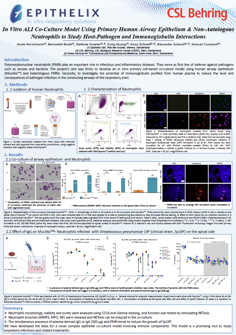 Epithelix中性粒细胞共培养模型研究呼吸道感染及治疗
