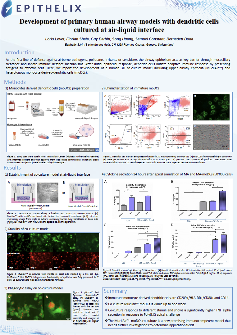 Epithelix树突状细胞共培养模型适配气道免疫研究