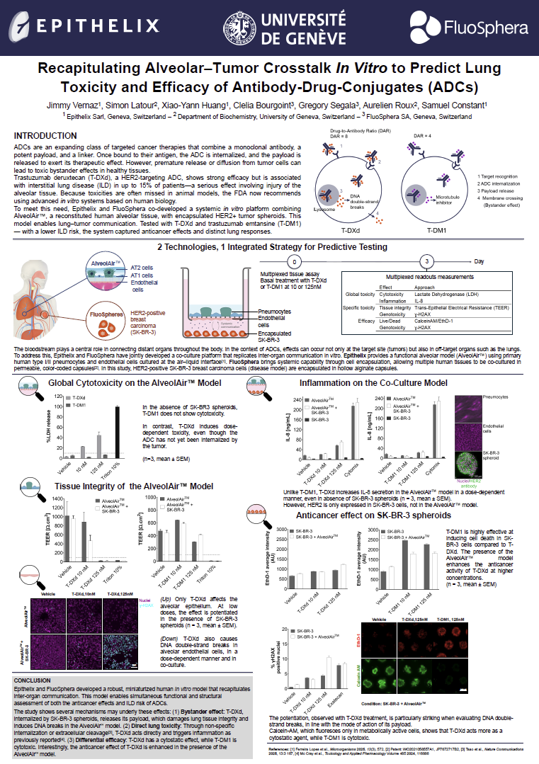 Epithelix肺泡-肿瘤共培养预测ADC肺毒性与疗效
