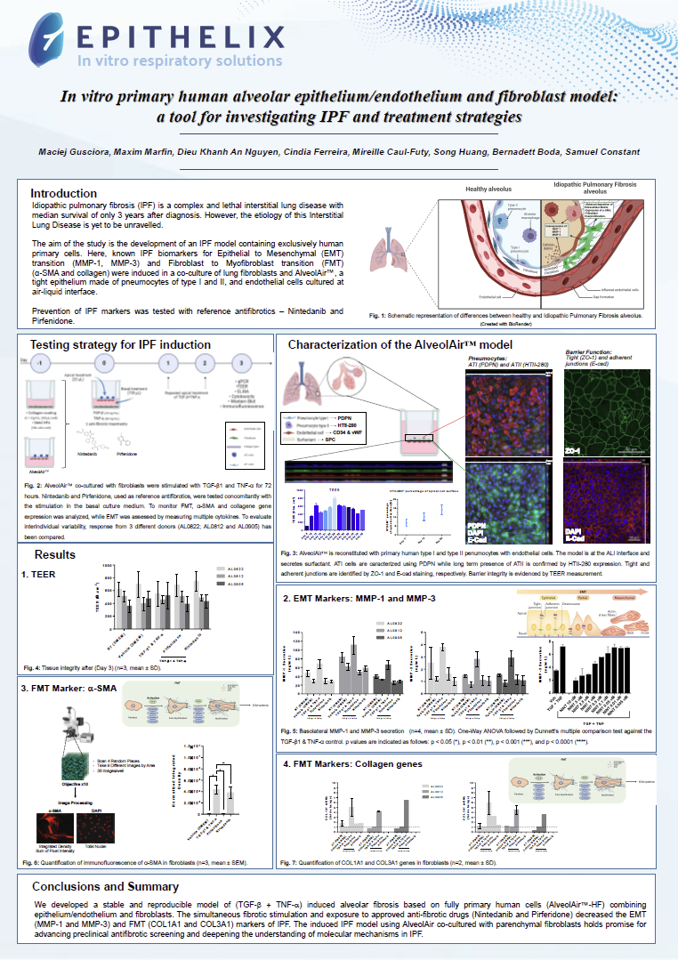 Epithelix肺泡纤维化模型助力IPF研究与抗纤药筛选