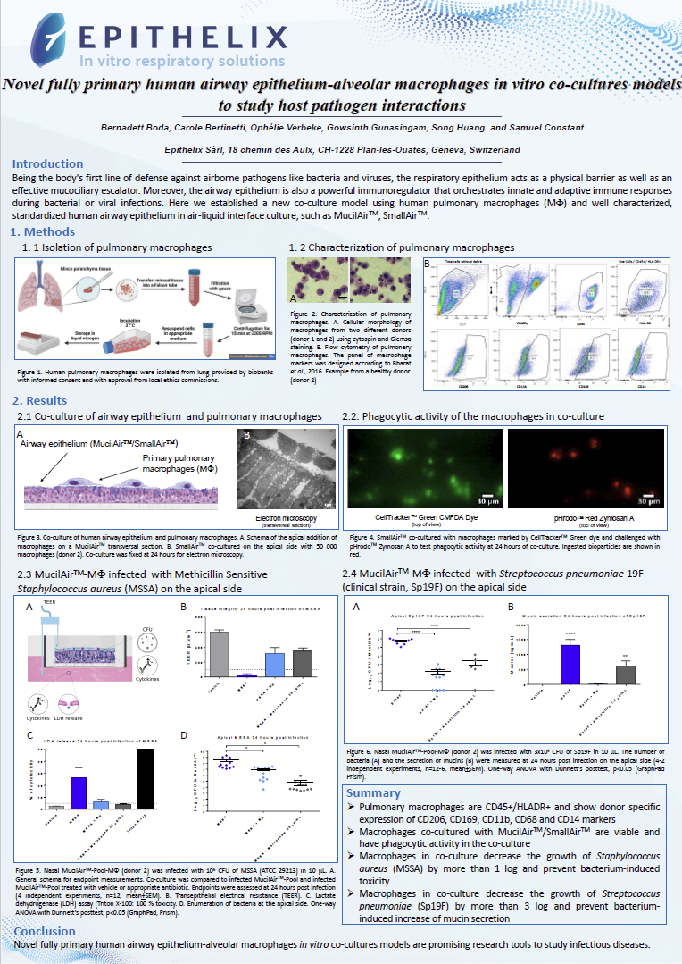 Epithelix肺泡巨噬细胞共培养研究宿主病原体互作