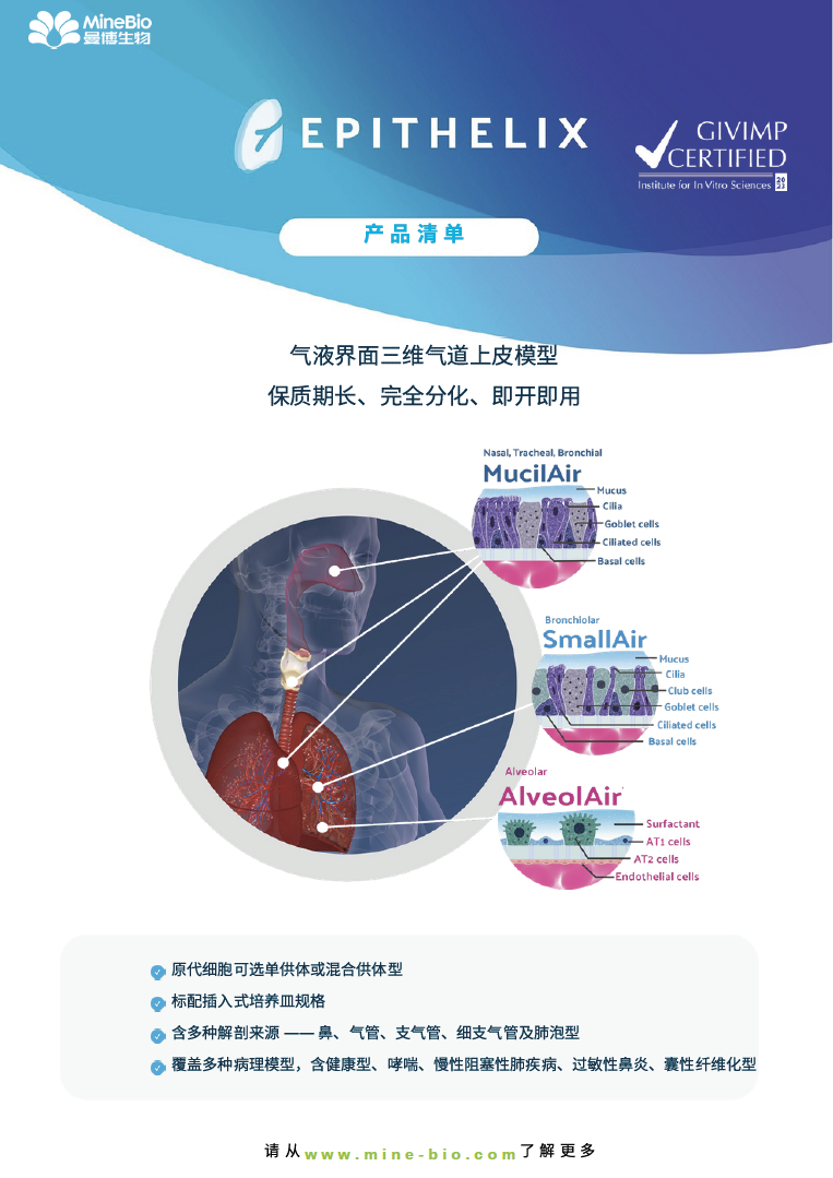 彩页-Epithelix产品清单