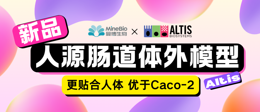 Altis RepliGut人源肠道体外模型｜比Caco-2更像人体肠道