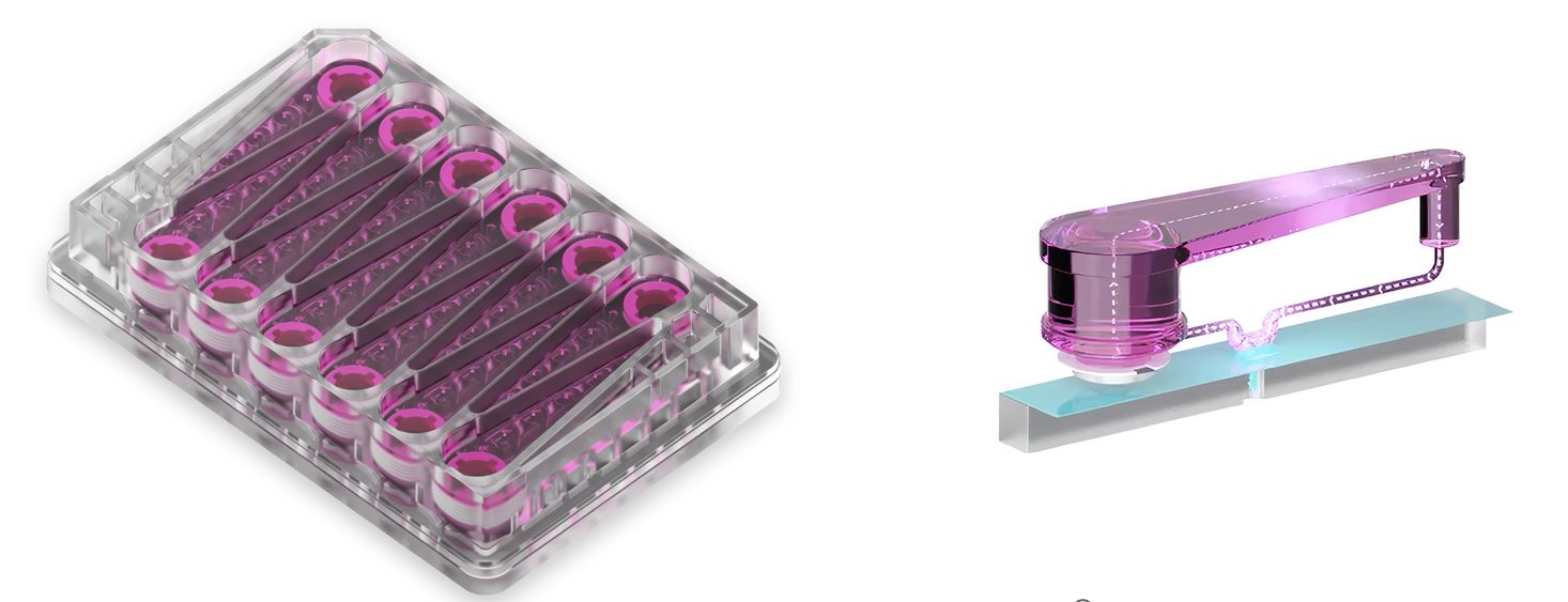 MPS-LC12微孔板结构 MPS-LC12微孔板结构