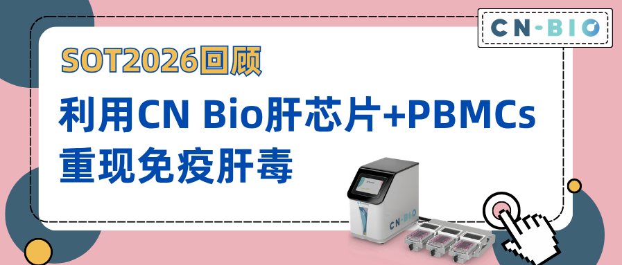 SOT2026回顾｜利用CN Bio肝芯片+PBMCs，重现免疫肝毒