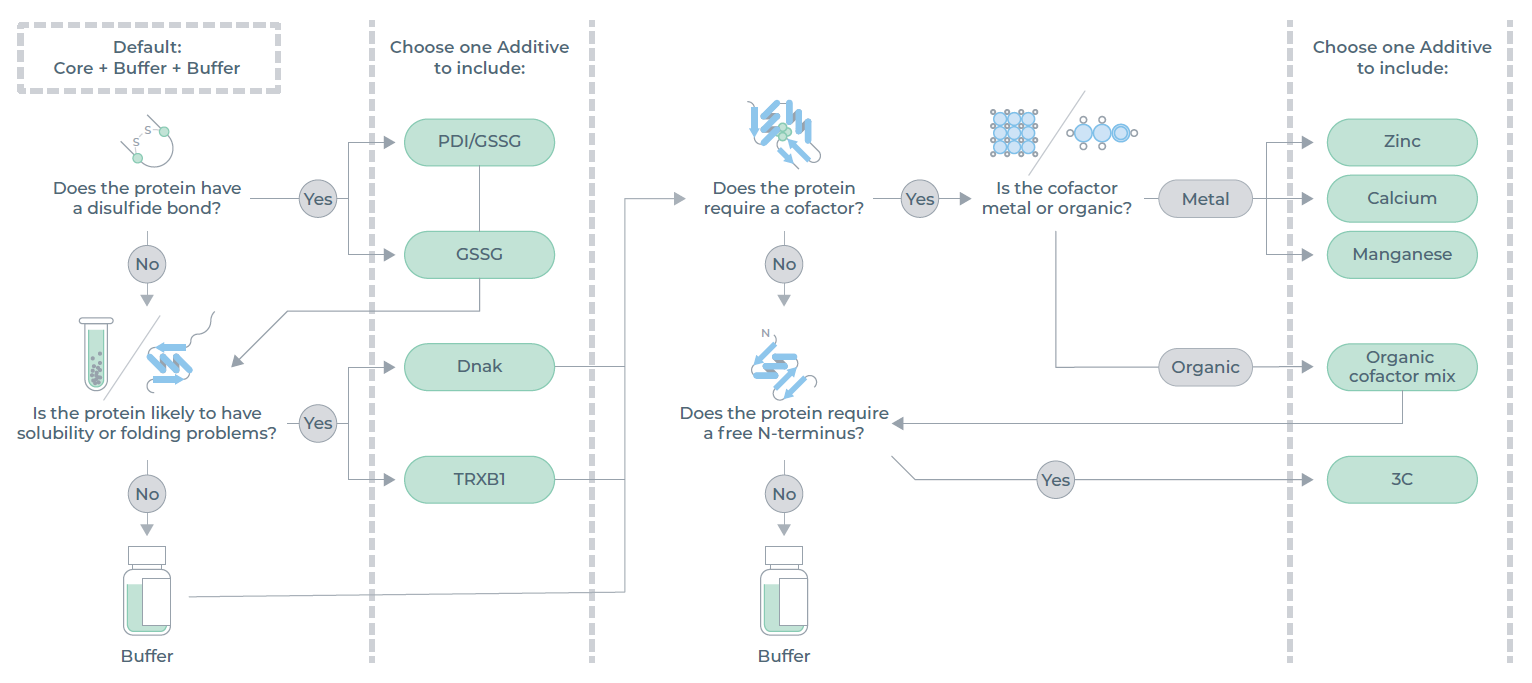 添加剂指导决策树。每种表达用无细胞混合物中至多可添加两种添加剂。
