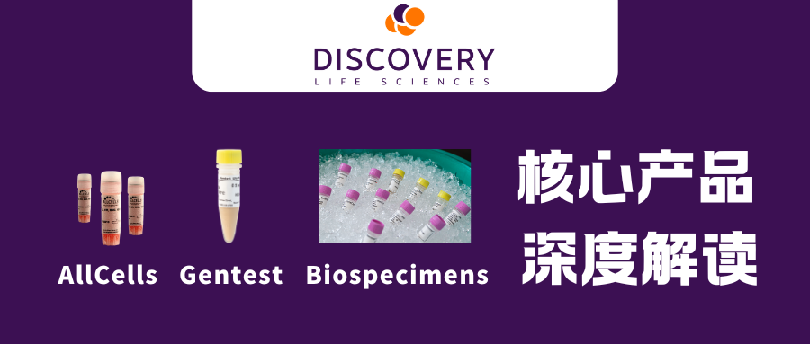 Discovery Life Sciences（DLS）核心业务与子品牌深度解读