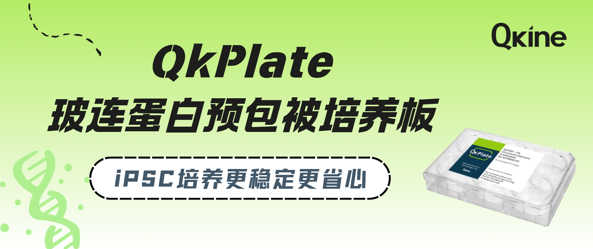 Qkine QkPlate预包被玻连蛋白板|iPSC培养更稳定更省心
