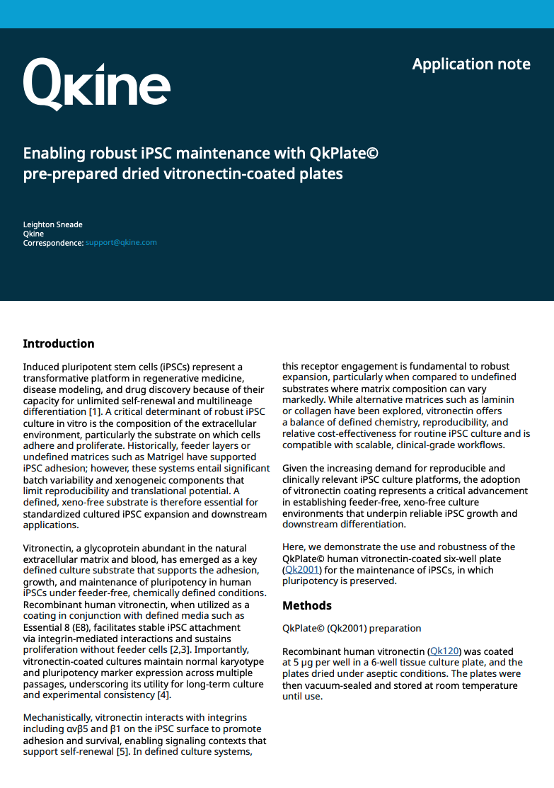 使用QkPlate预制干燥的玻连蛋白包被培养板,可实现iPSC的稳定培养 使用QkPlate预制干燥的玻连蛋白包被培养板,可实现iPSC的稳定培养
