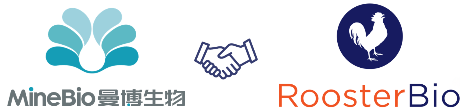 曼博生物官方代理RoosterBio