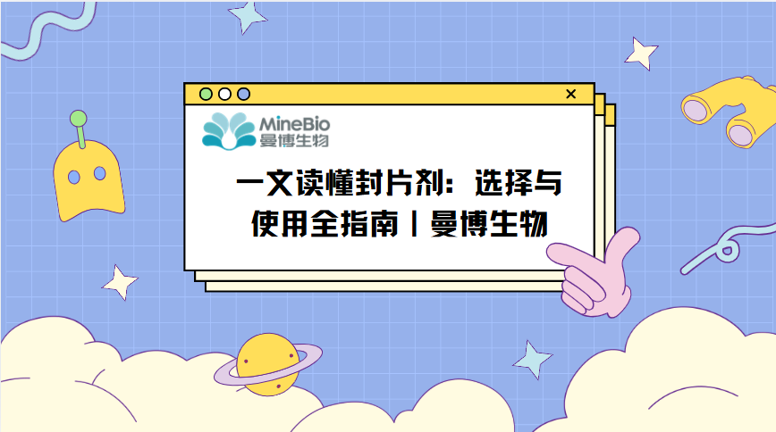 一文读懂封片剂：选择与使用全指南｜曼博生物