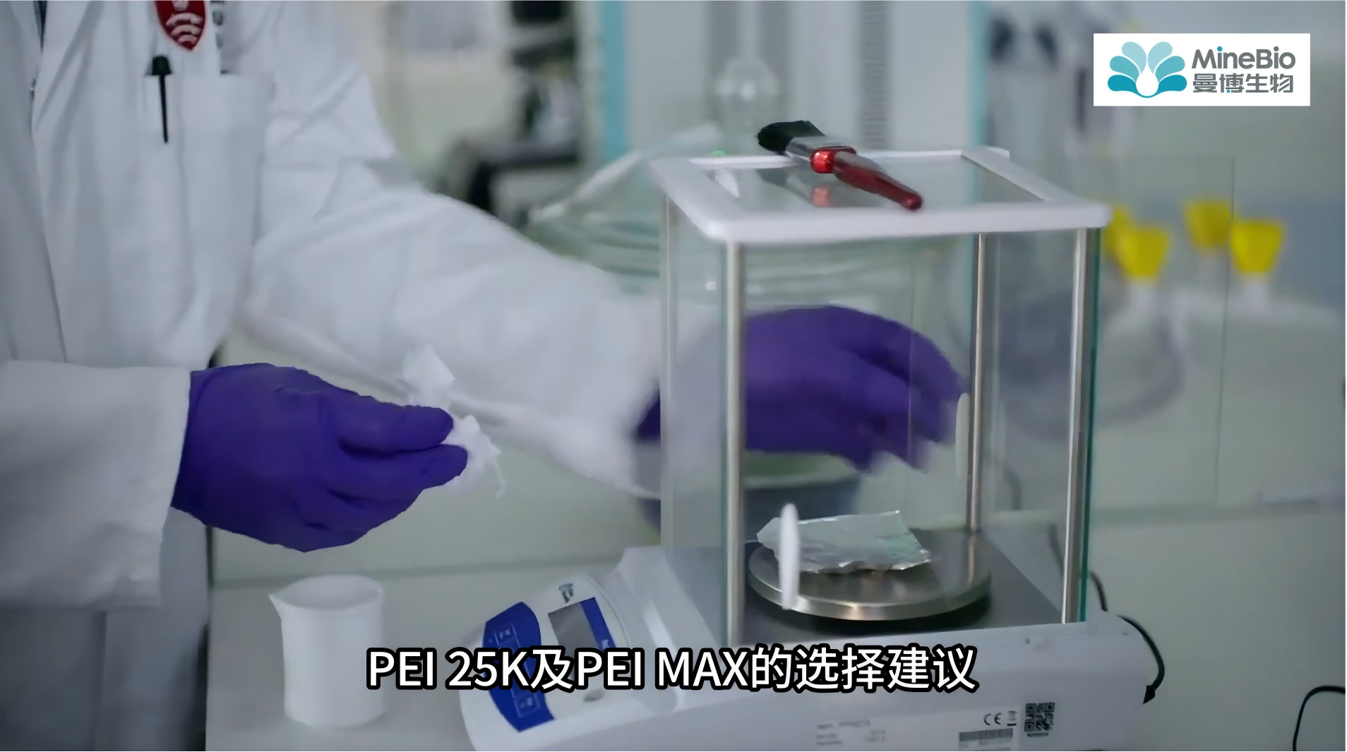 难转染细胞救星：Polysciences PEI转染试剂选型指南