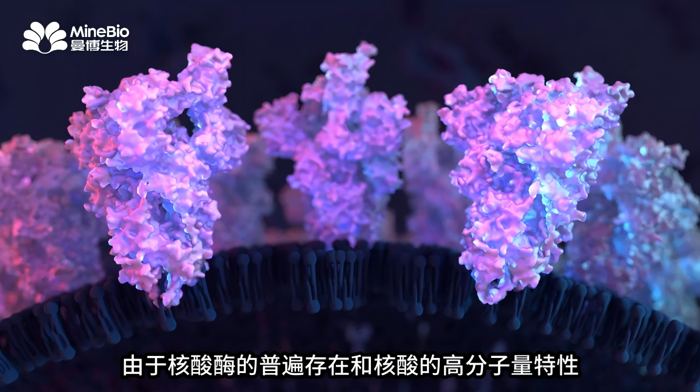 细胞转染效率翻倍？Polysciences PEI转染优化关键指南（上）