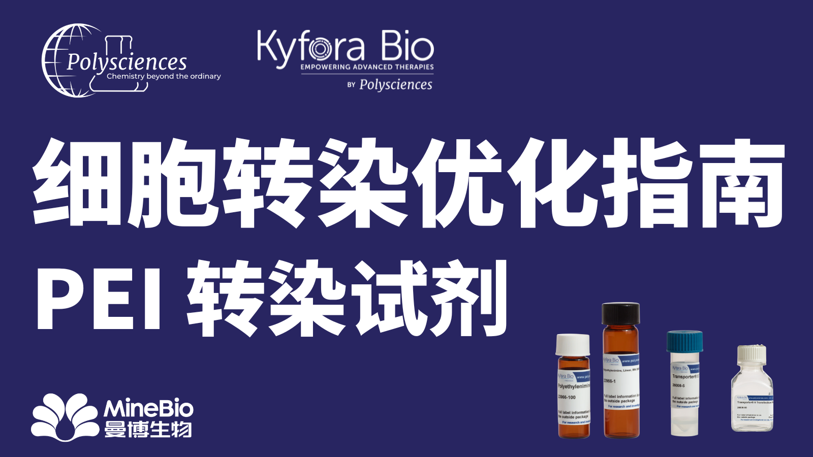 Polysciences细胞转染优化指南